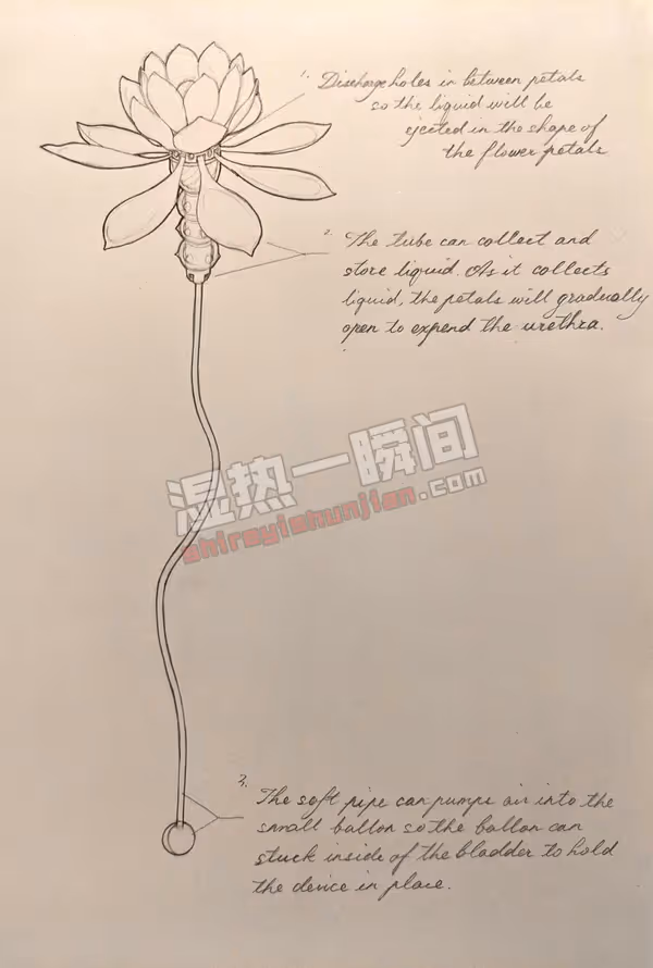 可以开花的尿道塞